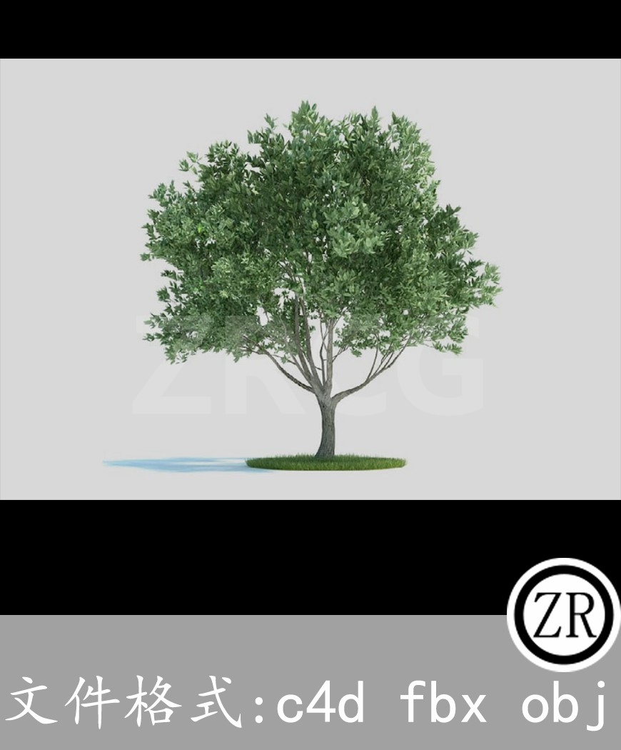 树木模型18