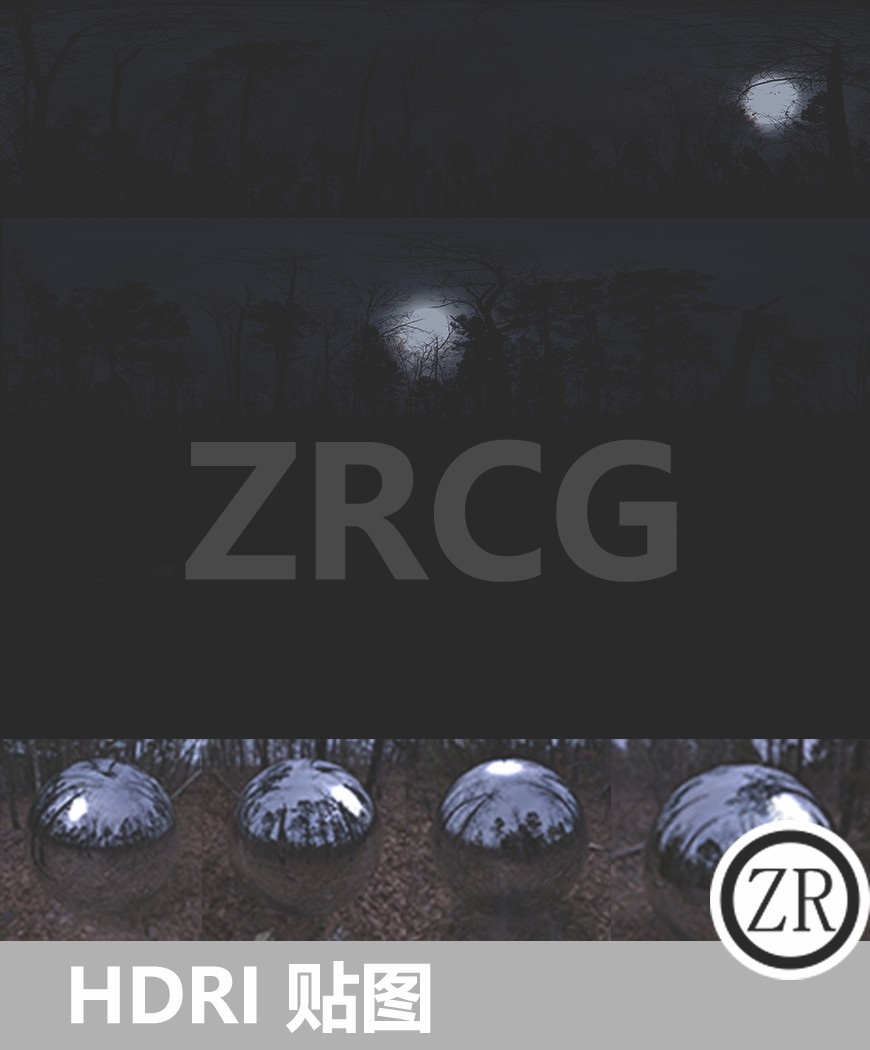 5个室外森林 夜晚