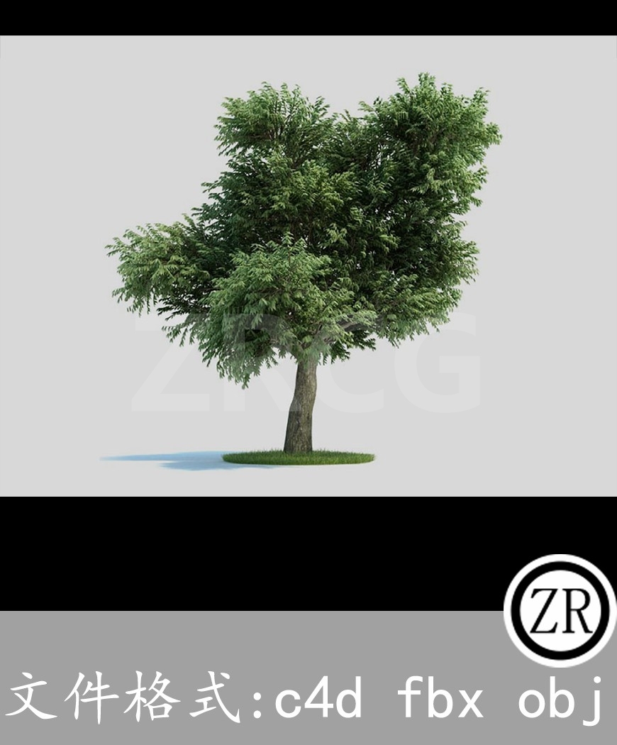 树木模型35