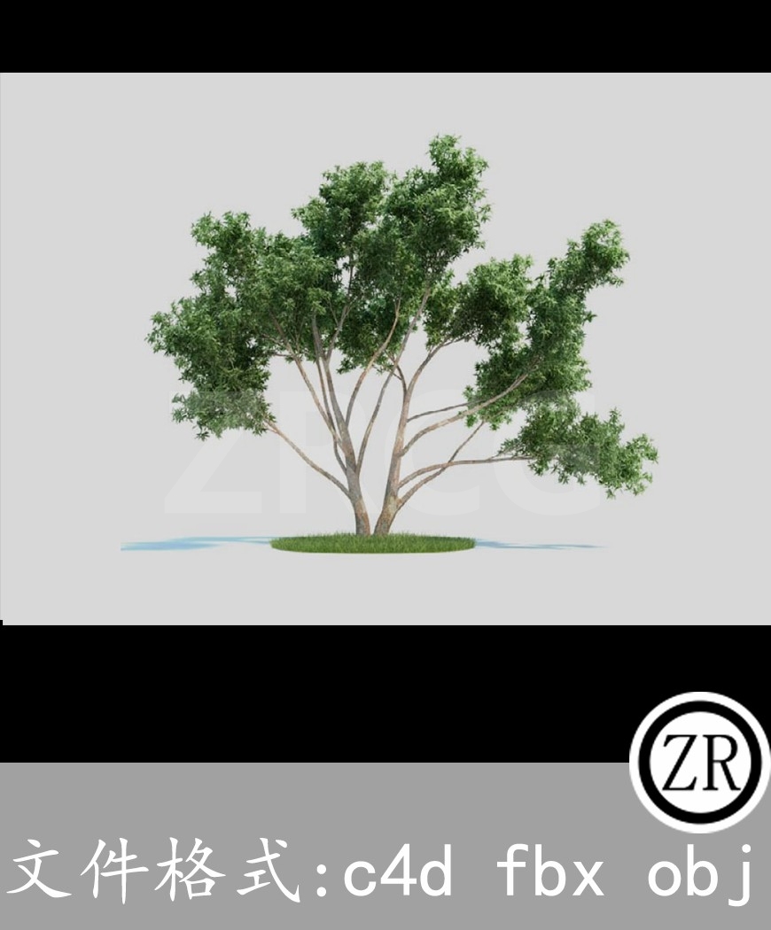 树木模型33