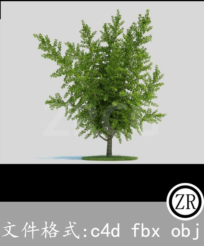树木模型32