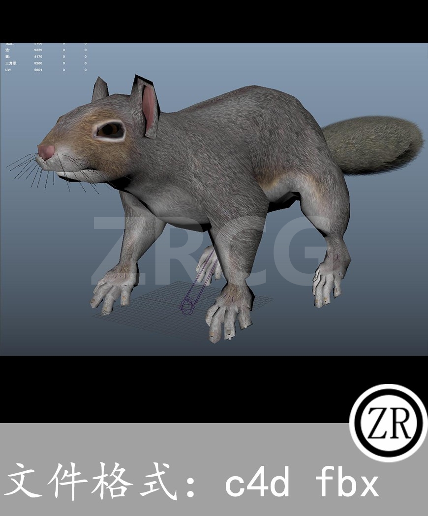 有骨骼贴图-松鼠