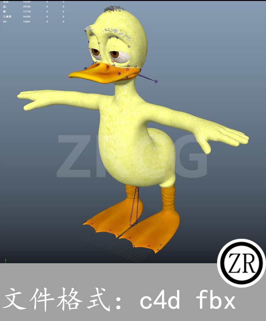 有骨骼贴图-鸭子