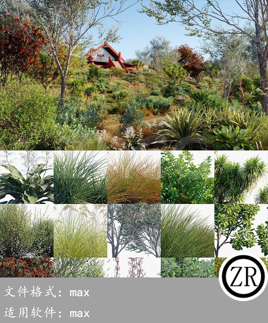 Globe Plants – Bundle 21 – New Zealand Plants