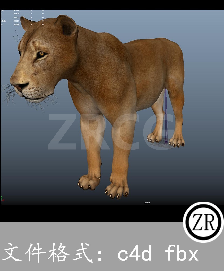 有骨骼贴图-狮子
