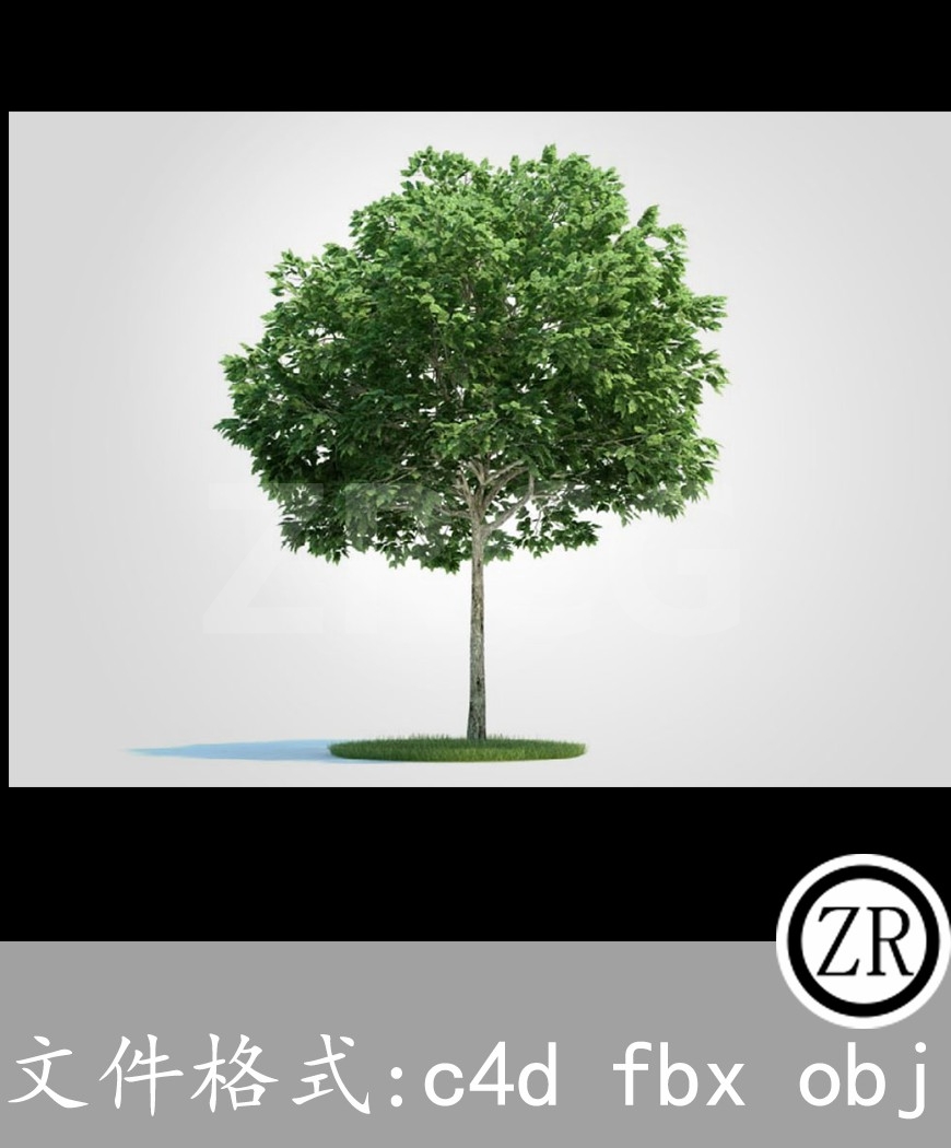 树木模型3