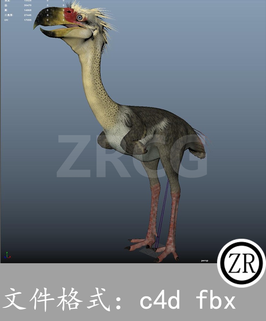 有骨骼贴图-鸵鸟