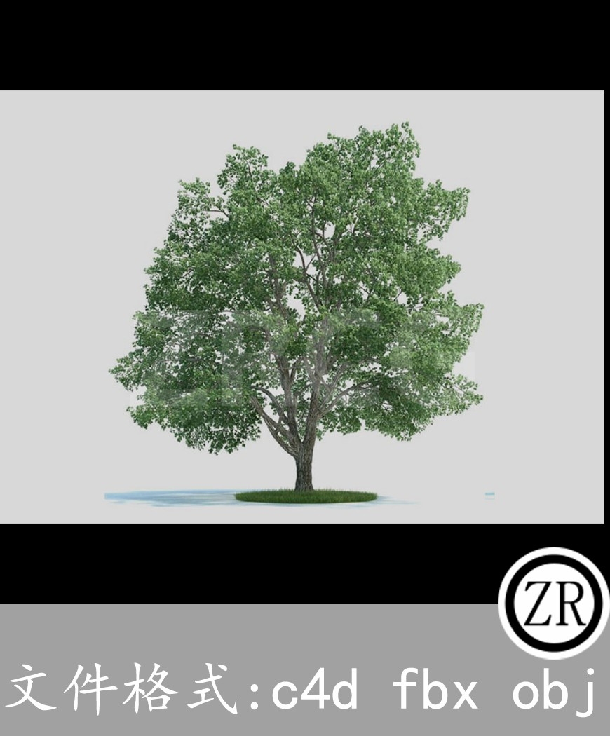 树木模型17