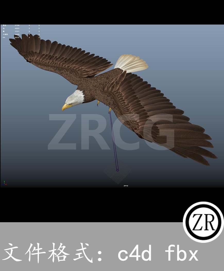 有骨骼贴图-老鹰