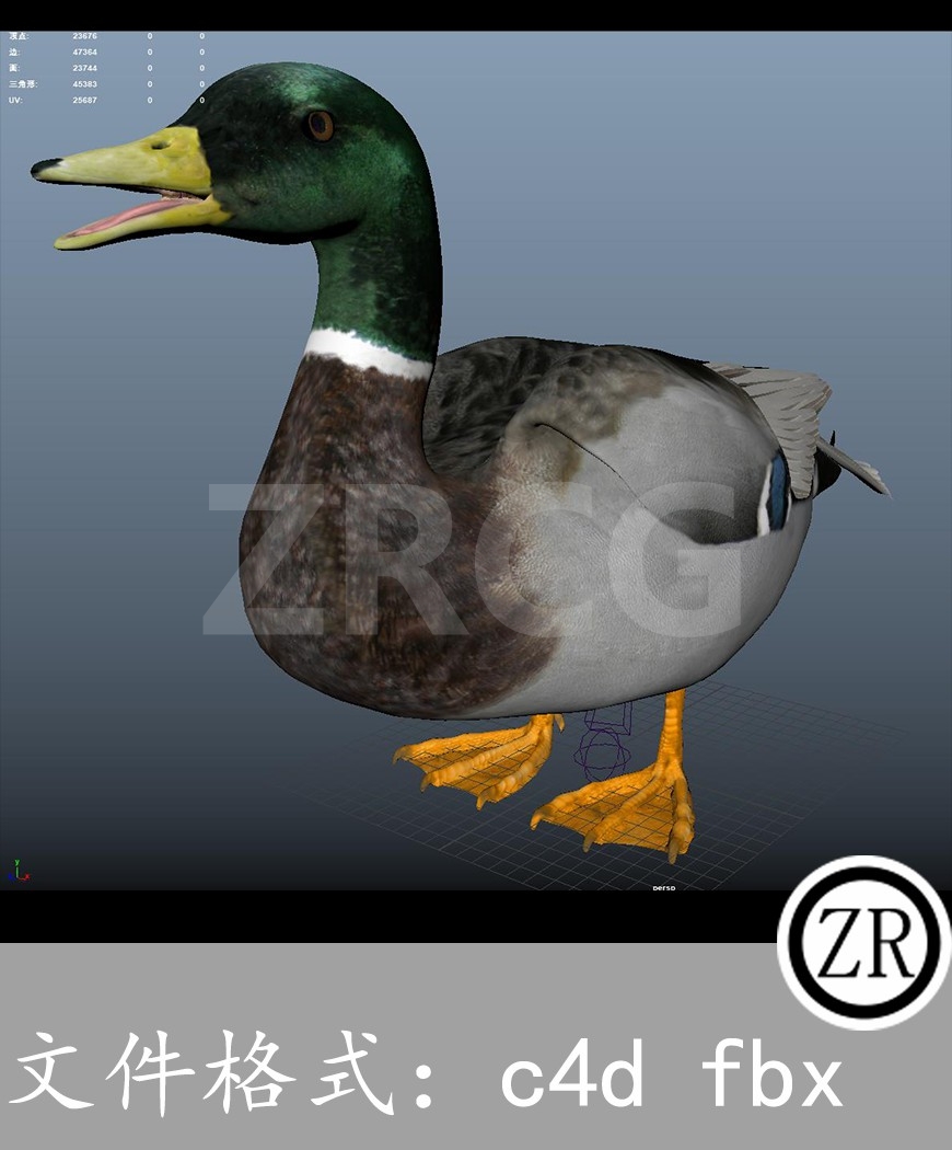 有骨骼贴图-鸳鸯