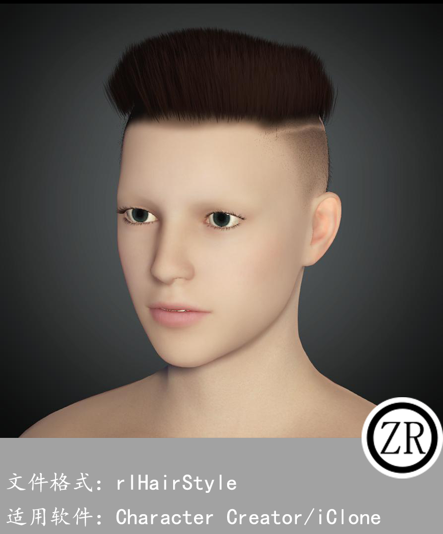 CC男性头发模型C253