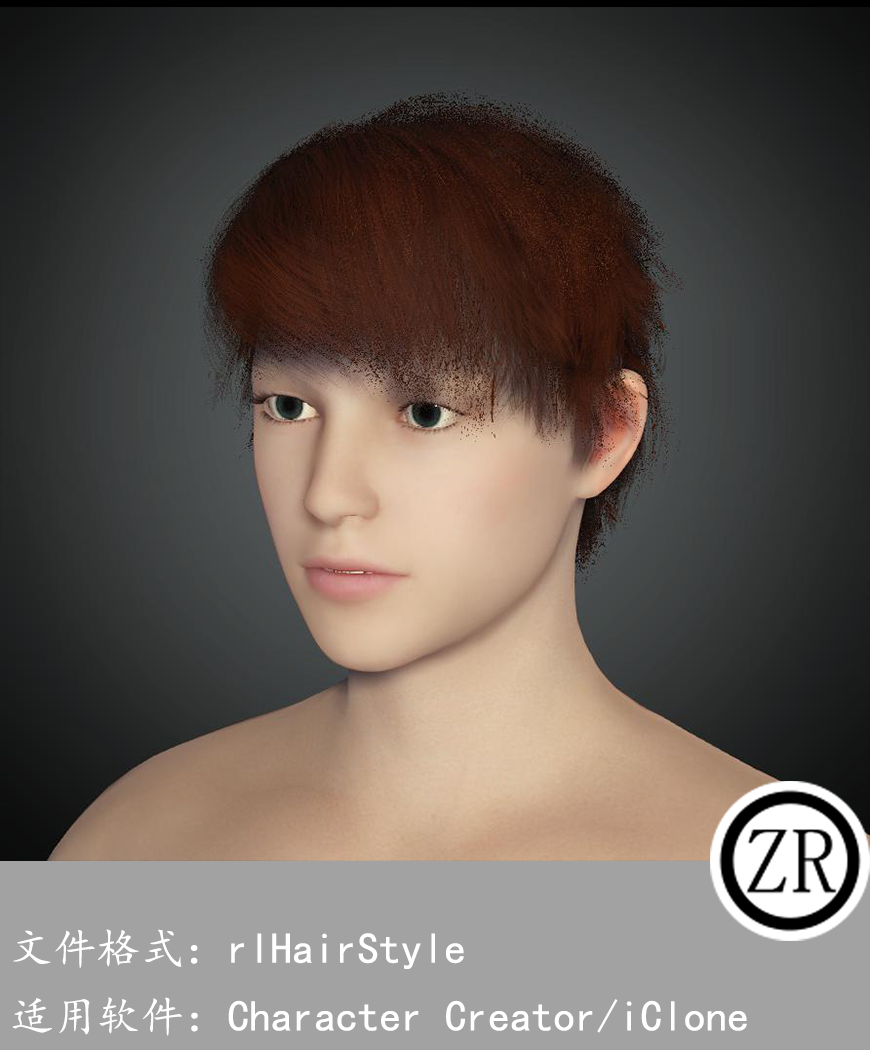 CC男性头发模型C260