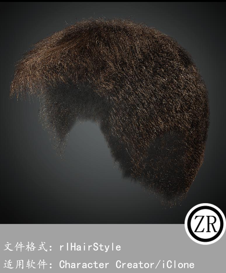 CC男性头发模型C270