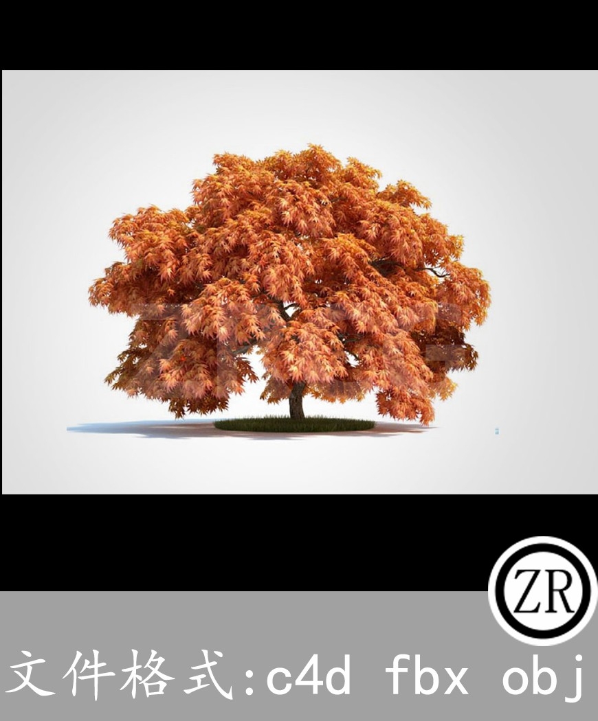 树木模型5