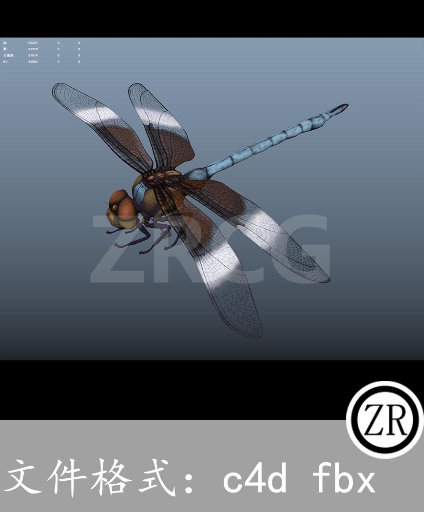 有骨骼贴图-蜻蜓