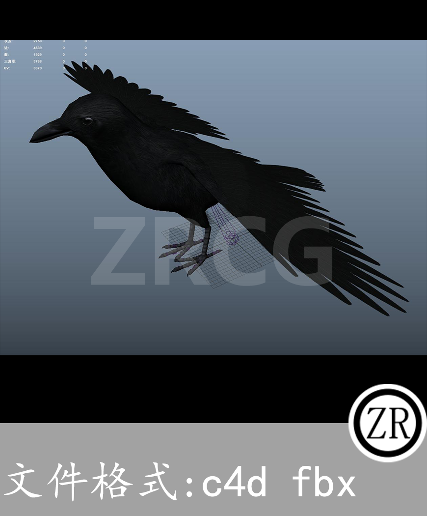 有骨骼贴图-乌鸦