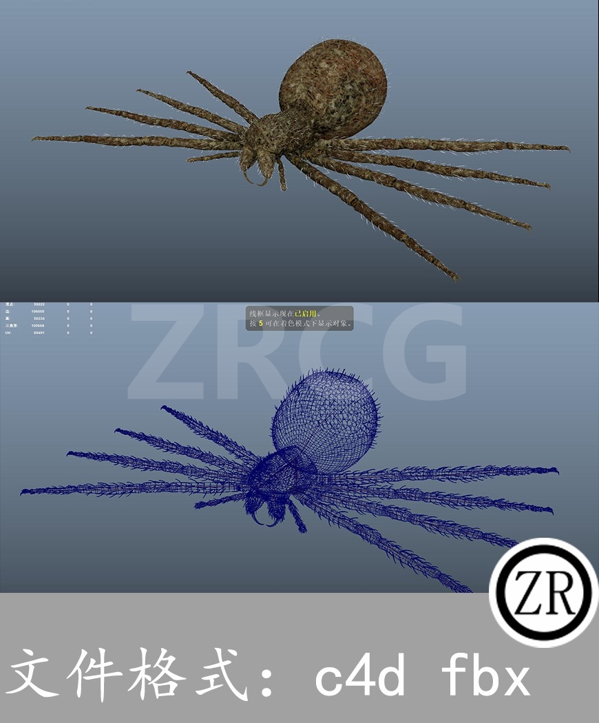 有骨骼贴图-蜘蛛