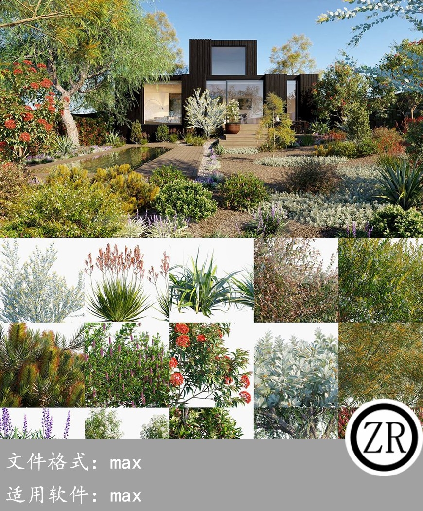 澳大利亚居家花园 Globe Plants – Bundle 22 Australian Home & Garden 02