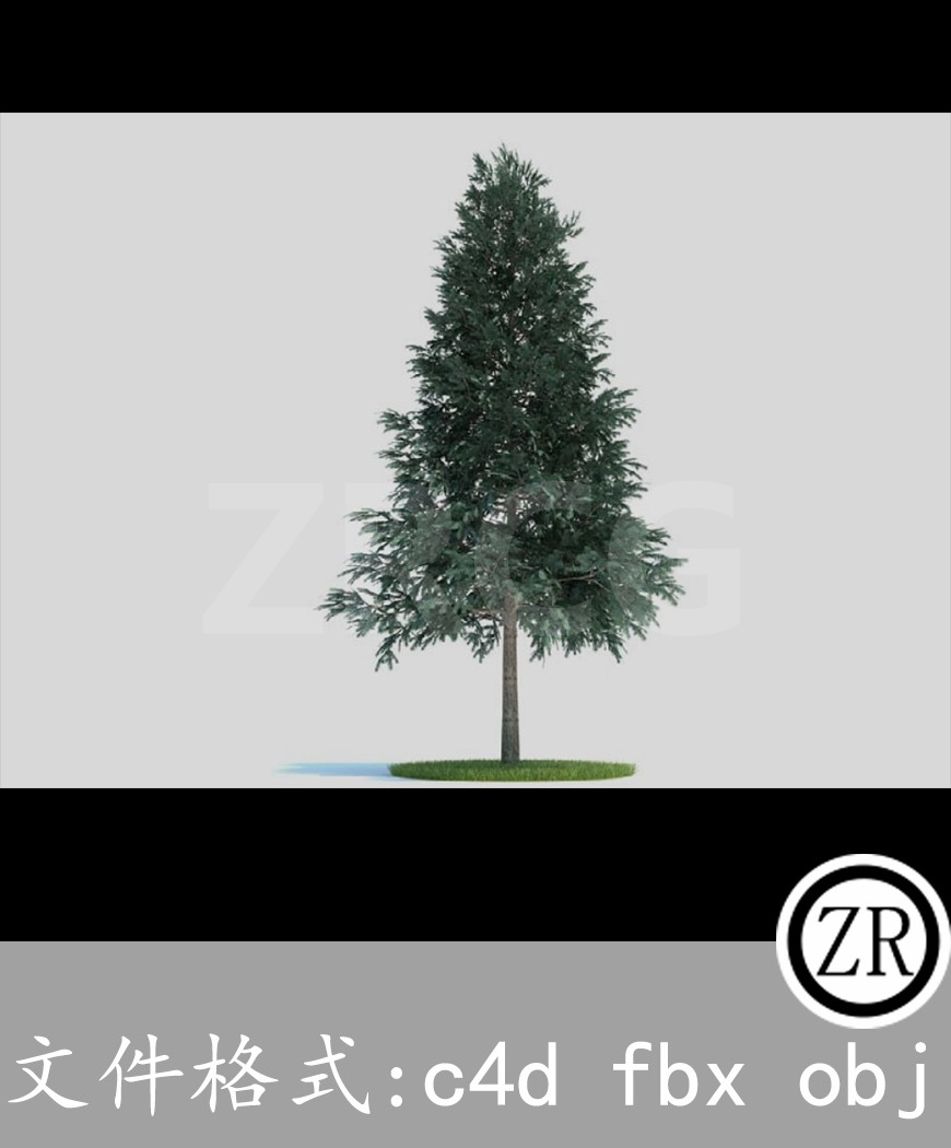树木模型13