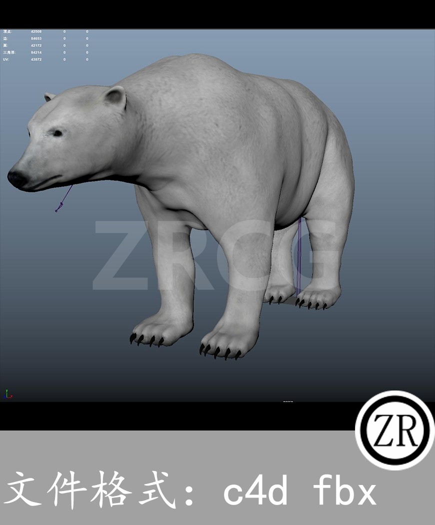 有骨骼贴图-北极熊
