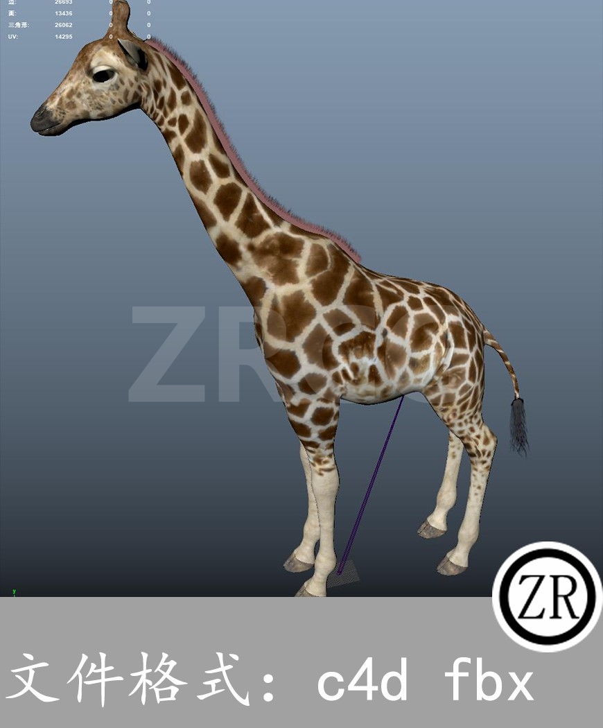 有骨骼贴图-长颈鹿