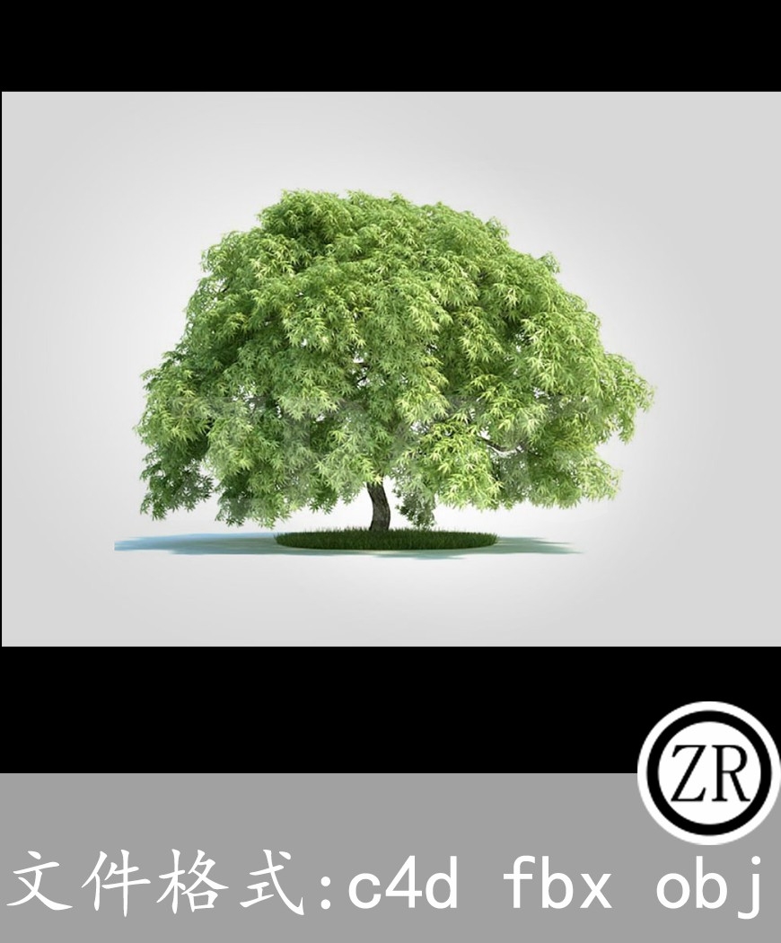 树木模型4