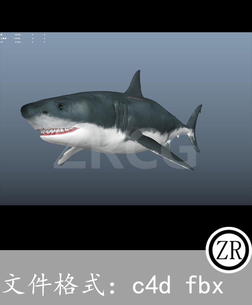 有骨骼贴图-鲨鱼