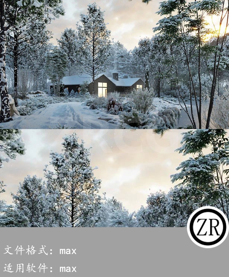 冬季植物 Globe Plants – Bundle 35 – Winter Plants