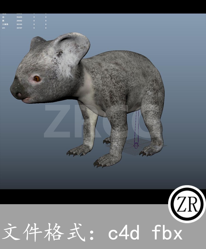 有骨骼贴图-树袋熊