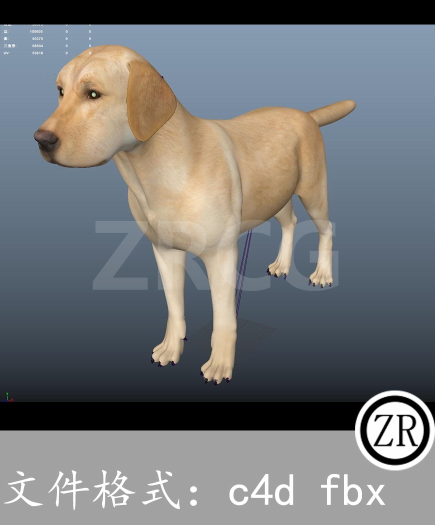 有骨骼贴图-狗狗