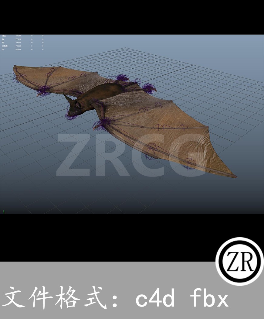 有骨骼贴图-蝙蝠