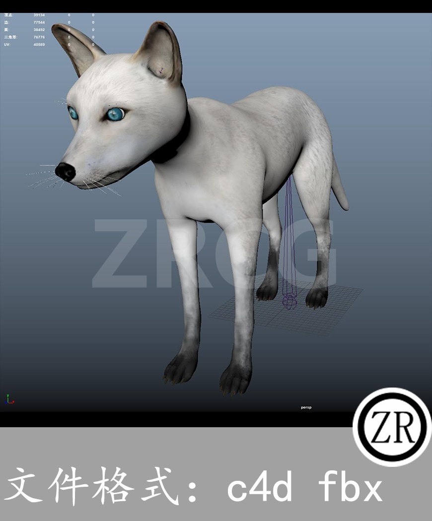 有骨骼贴图-狐狸