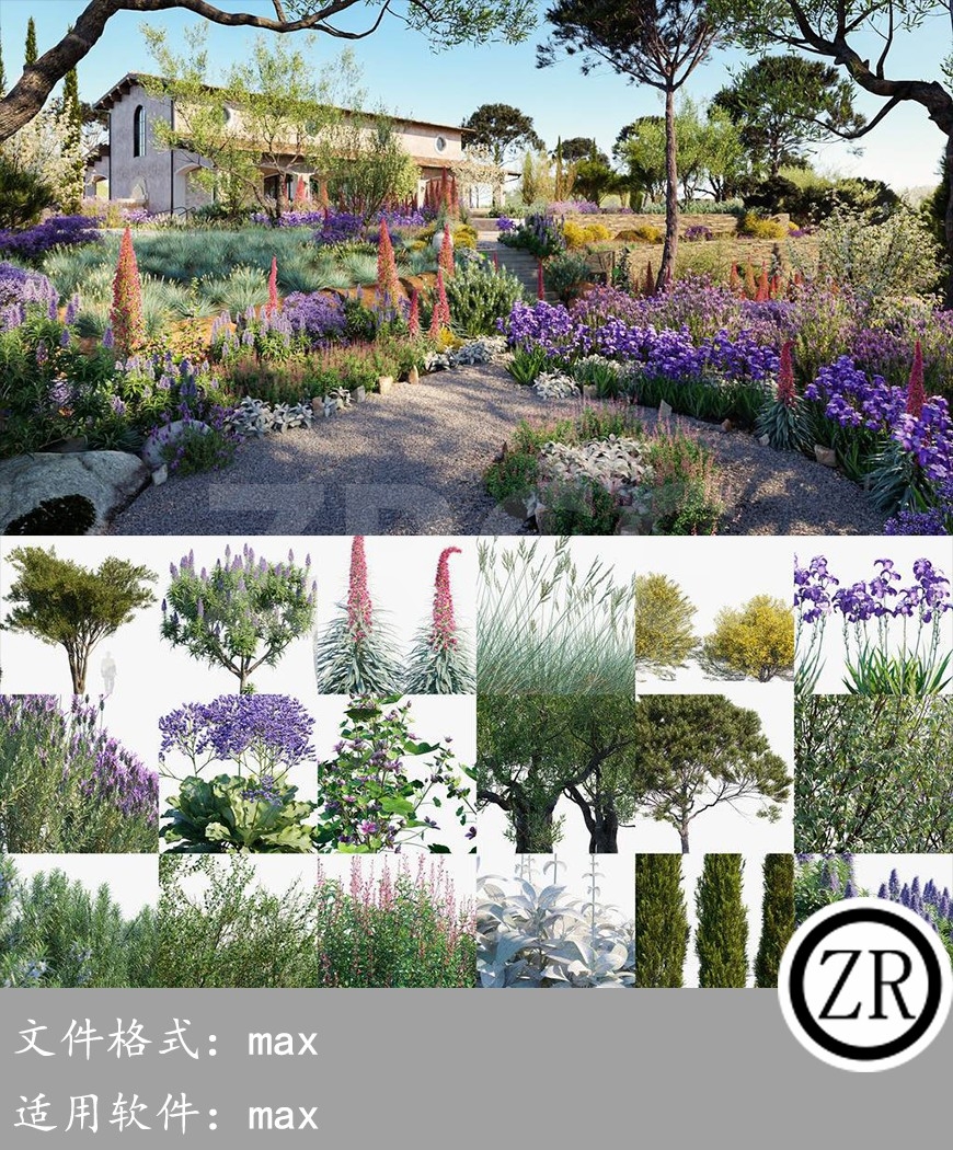 地中海植物 Globe Plants – Bundle 16 – Mediterranean Plants