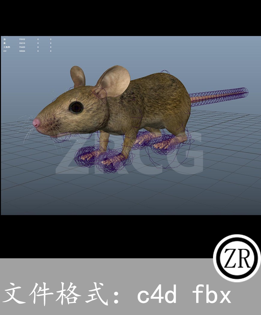 有骨骼贴图-老鼠