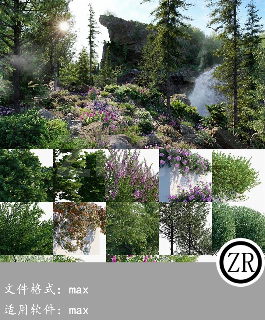 阿拉斯加植物 Globe Plants – Bundle 31 Alaskan Plants