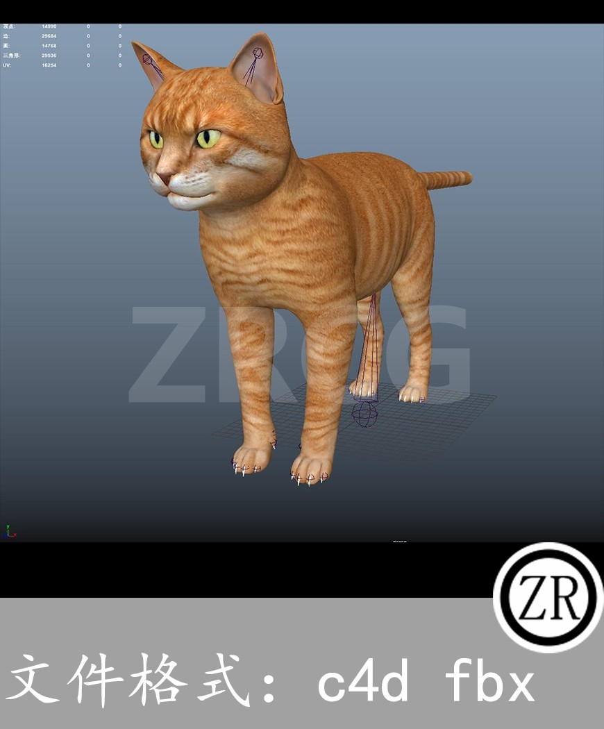 有骨骼贴图-猫咪