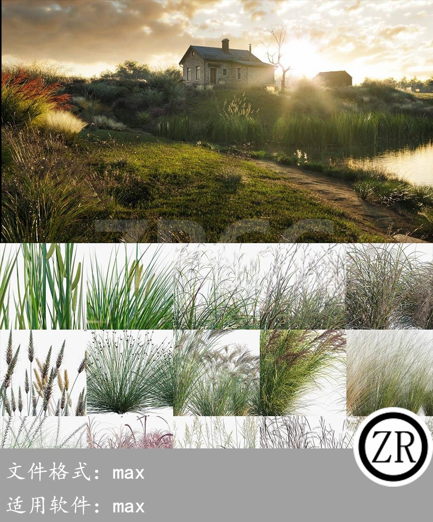 草模型 Globe Plants – Bundle 18 – Ornamental Grasses