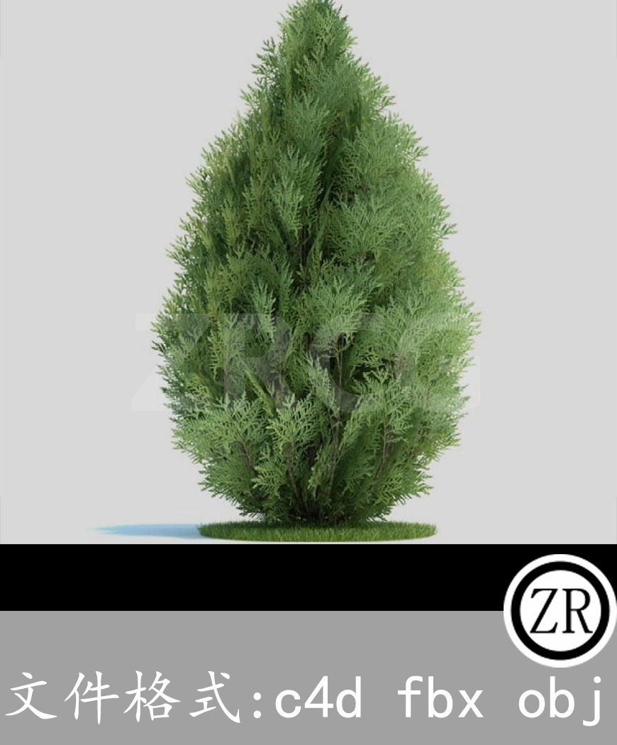树木模型37