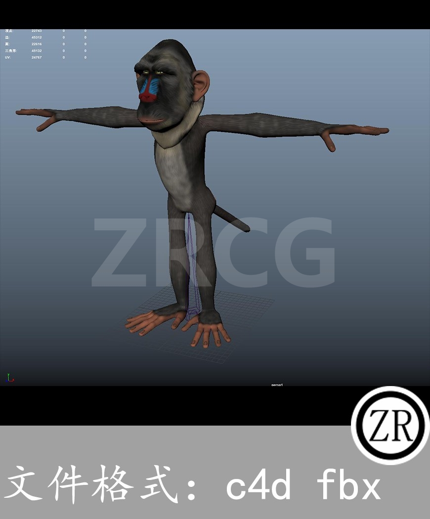 有骨骼贴图-猴子