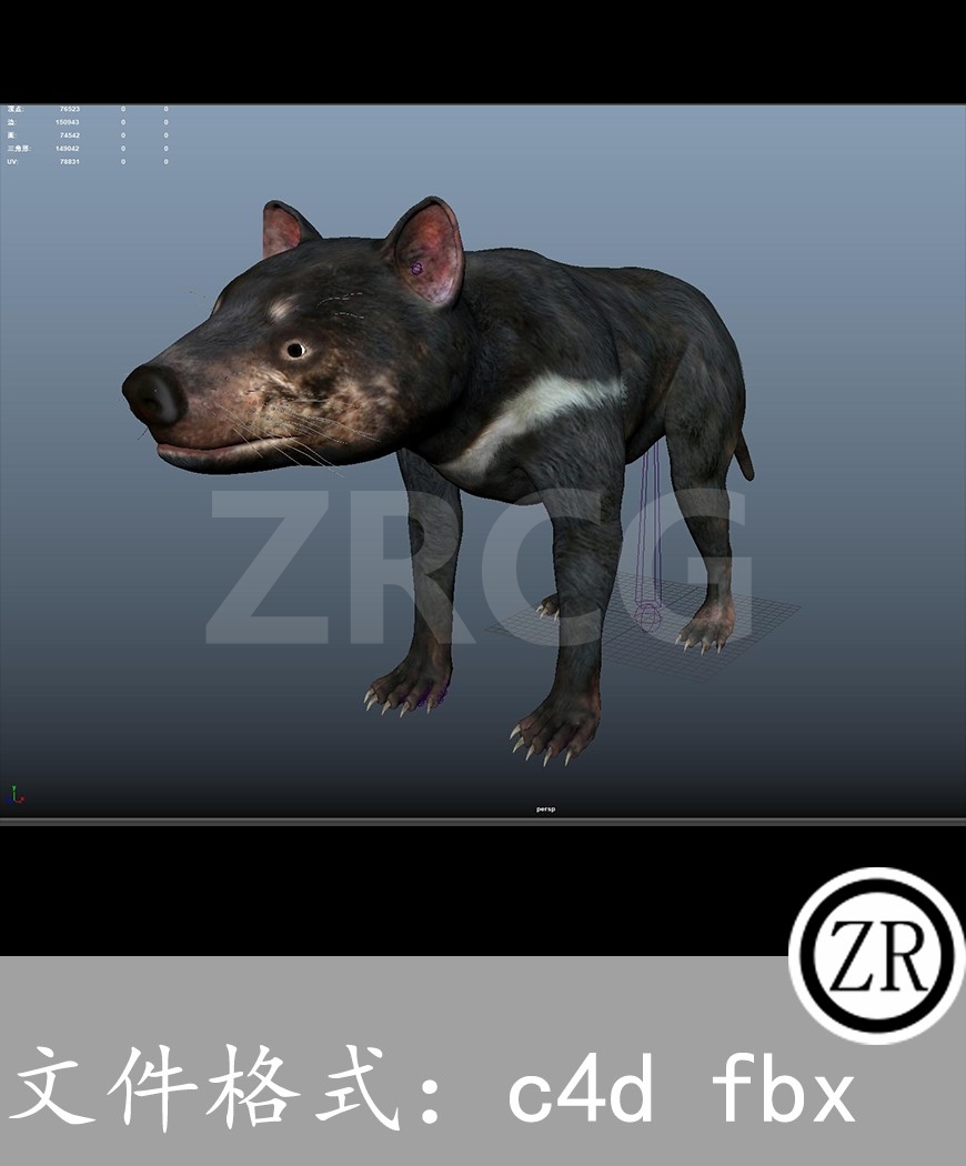 有骨骼贴图-袋獾