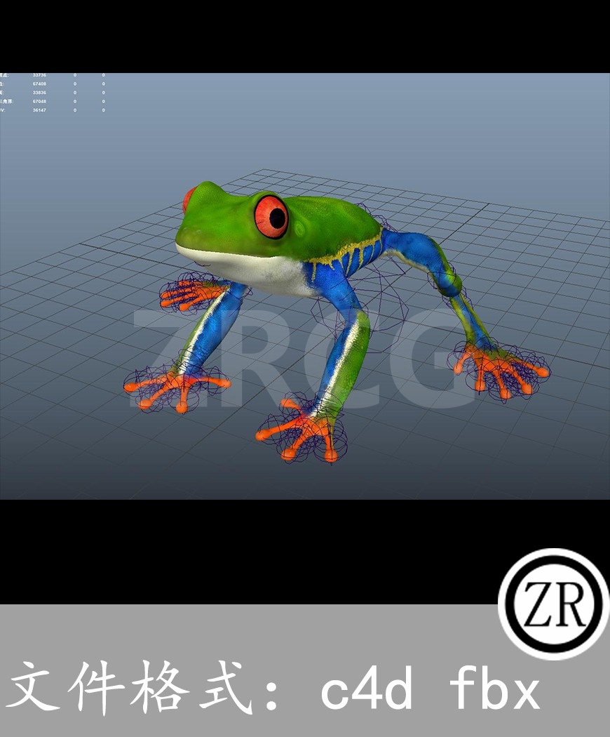有骨骼贴图-青蛙