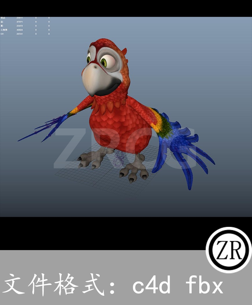 有骨骼贴图-鹦鹉