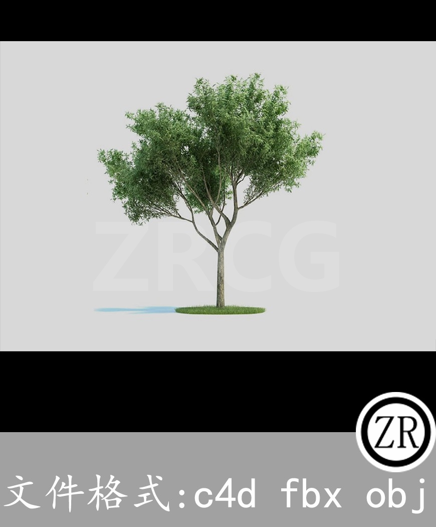 树木模型31