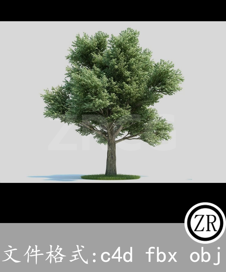 树木模型34