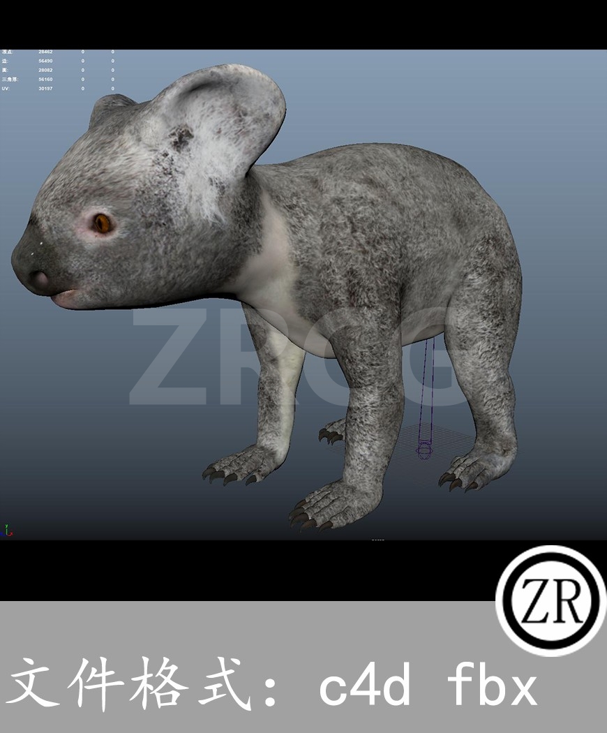 有骨骼贴图-考拉