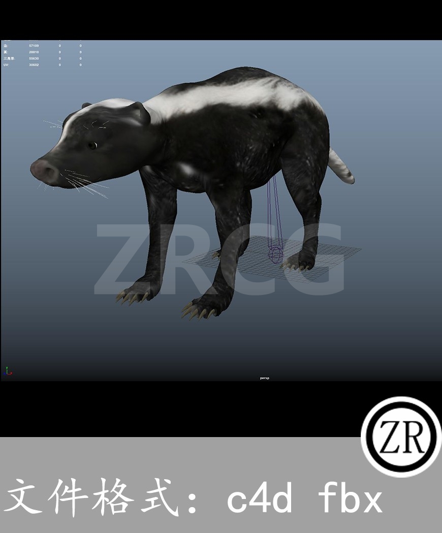 有骨骼贴图-臭鼬