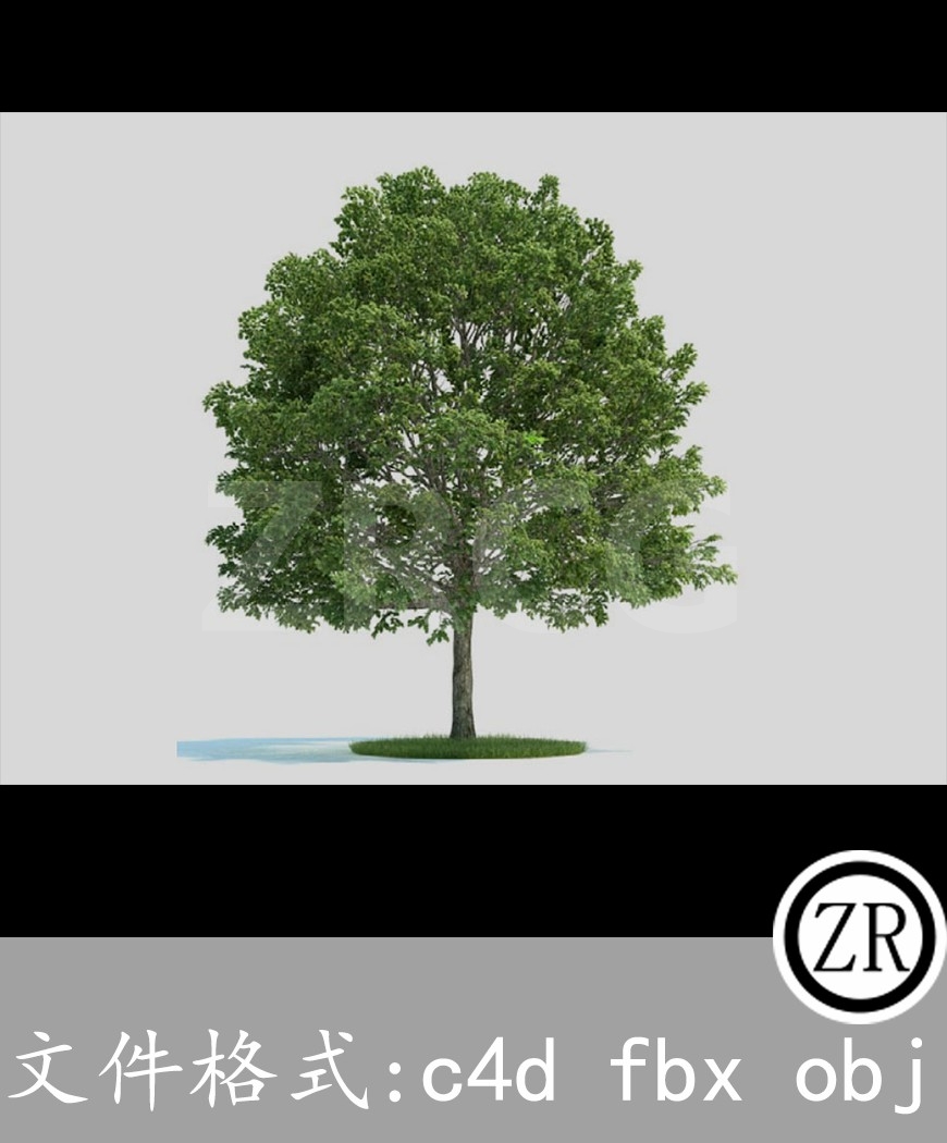 树木模型14
