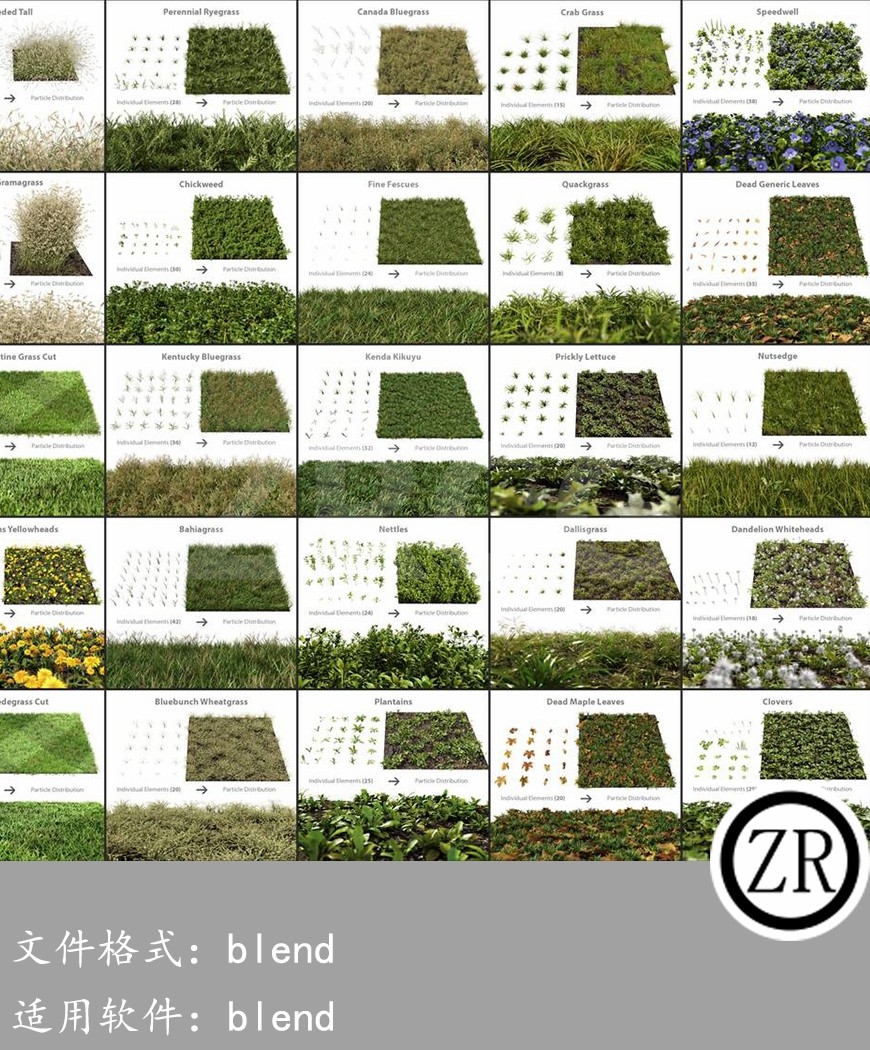 植物草模型 Blender Guru The Grass Essentials