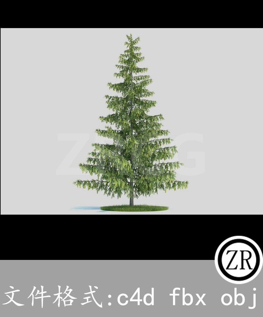 树木模型11