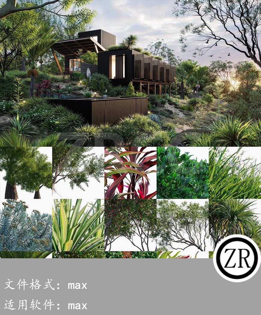 新西兰家庭和园艺植物 Globe Plants – Bundle 33 -New Zealand Home & Garden Plants